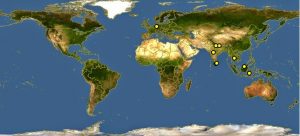 Peta persebaran Kucing Mangrove di seluruh dunia. 