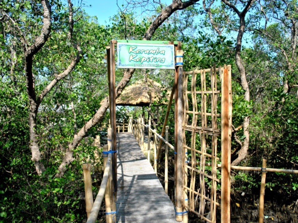Ekowisata Mangrove Ala Kelompok Nelayan Bali – Mangrovemagz.com