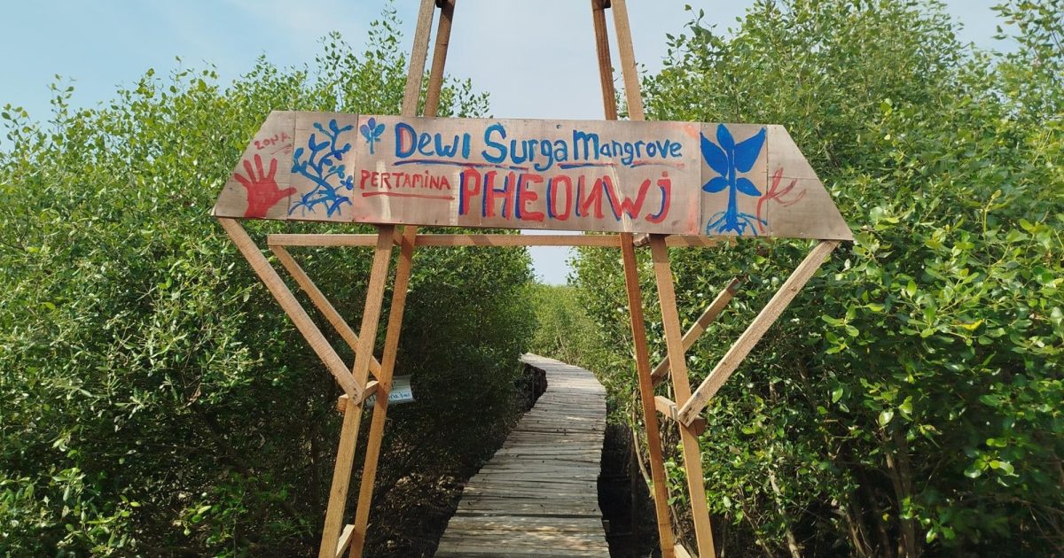 Ekowisata Mangrove Dewi Surga Cirebon