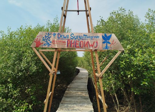 Ekowisata Mangrove Dewi Surga Cirebon