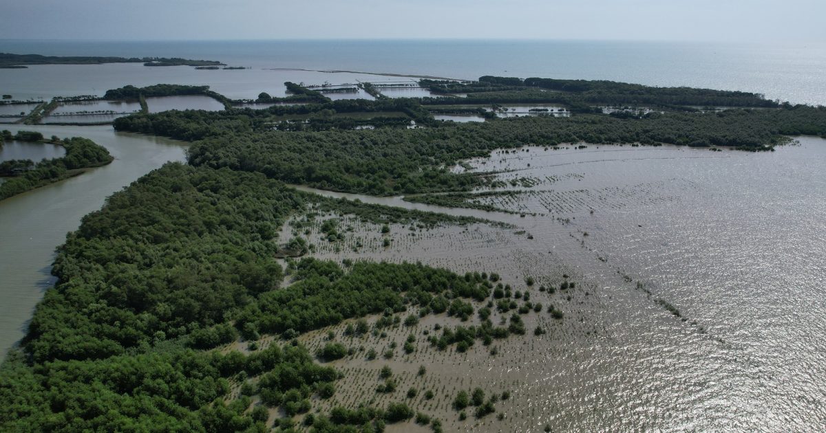 Kondisi KEE Mojo Terkini 1