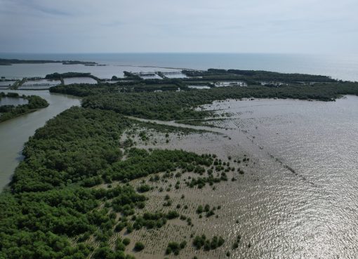 Kondisi KEE Mojo Terkini 1