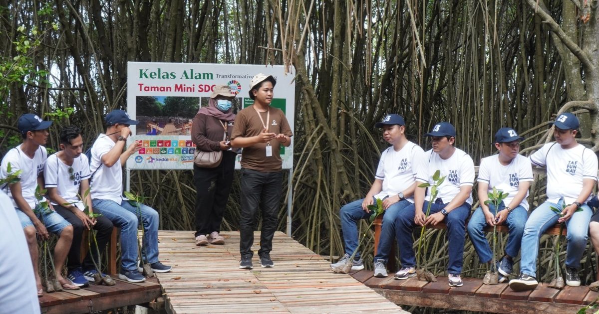 Wisata Mangrove Jepara: MECoK Ecopark