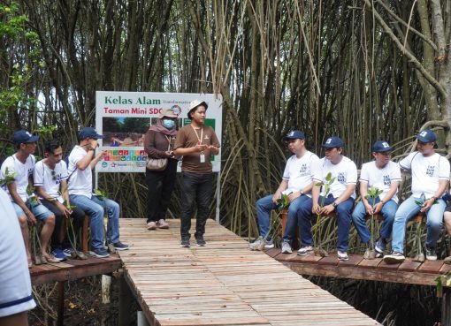 Wisata Mangrove Jepara: MECoK Ecopark