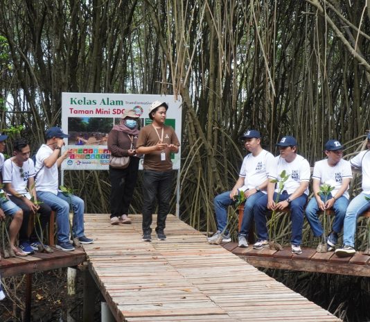 Wisata Mangrove Jepara: MECoK Ecopark