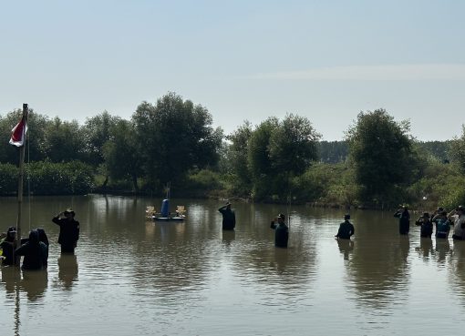 Pengibaran Bendera di Lumpur Mangrove