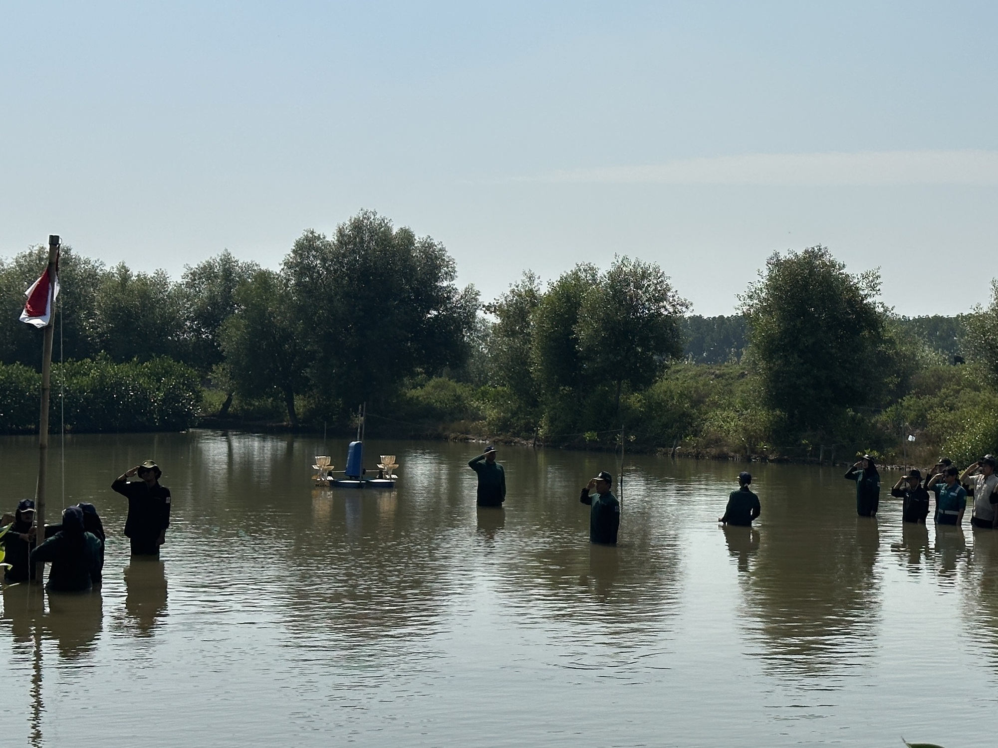 Pengibaran Bendera di Lumpur Mangrove