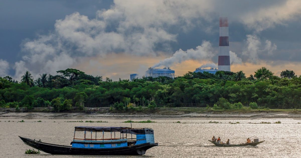 Hutan Mangrove Sundarbans Terancam PLTU dan Krisis Iklim