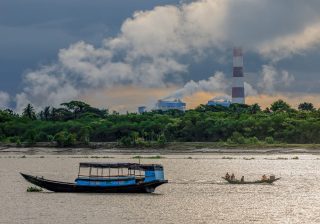 Hutan Mangrove Sundarbans Terancam PLTU dan Krisis Iklim
