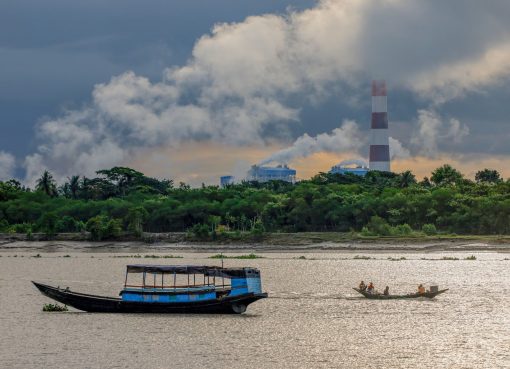 Hutan Mangrove Sundarbans Terancam PLTU dan Krisis Iklim