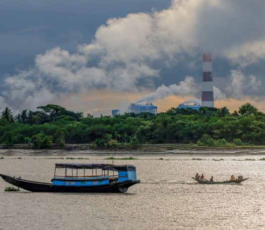 Hutan Mangrove Sundarbans Terancam PLTU dan Krisis Iklim