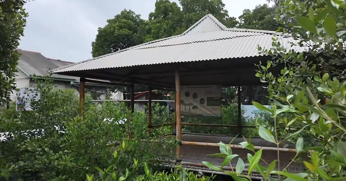 kunjungi-saung-dan-perpustakaan-mangrove-ruang-pembelajaran-lingkungan-pesisir-di-kampung-pondok-dua1