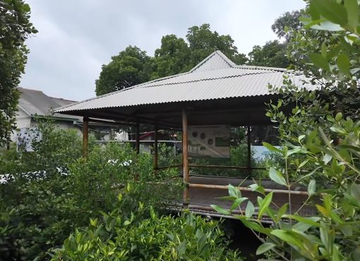 kunjungi-saung-dan-perpustakaan-mangrove-ruang-pembelajaran-lingkungan-pesisir-di-kampung-pondok-dua1