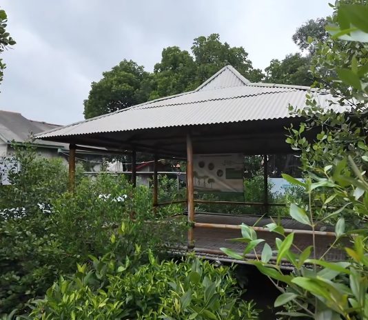 kunjungi-saung-dan-perpustakaan-mangrove-ruang-pembelajaran-lingkungan-pesisir-di-kampung-pondok-dua1