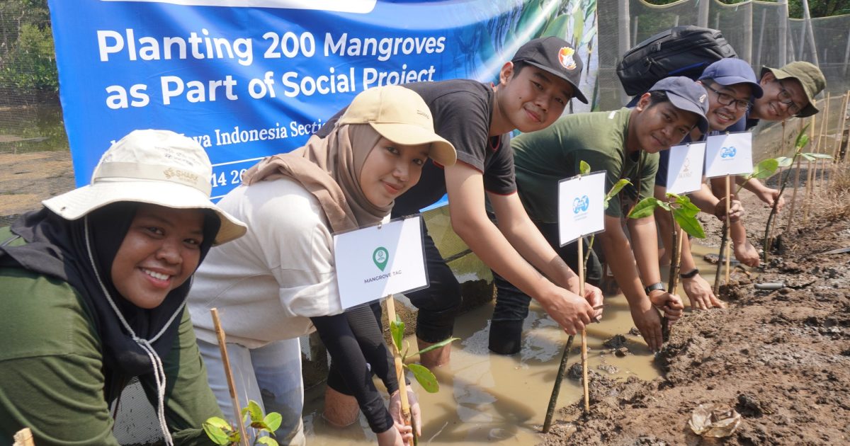mengapa-mangrove-tag-transparan
