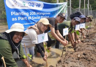 mengapa-mangrove-tag-transparan