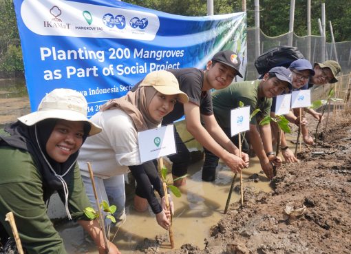 mengapa-mangrove-tag-transparan