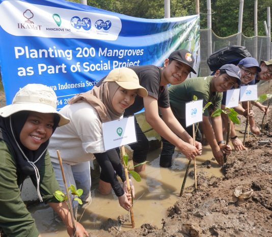 mengapa-mangrove-tag-transparan