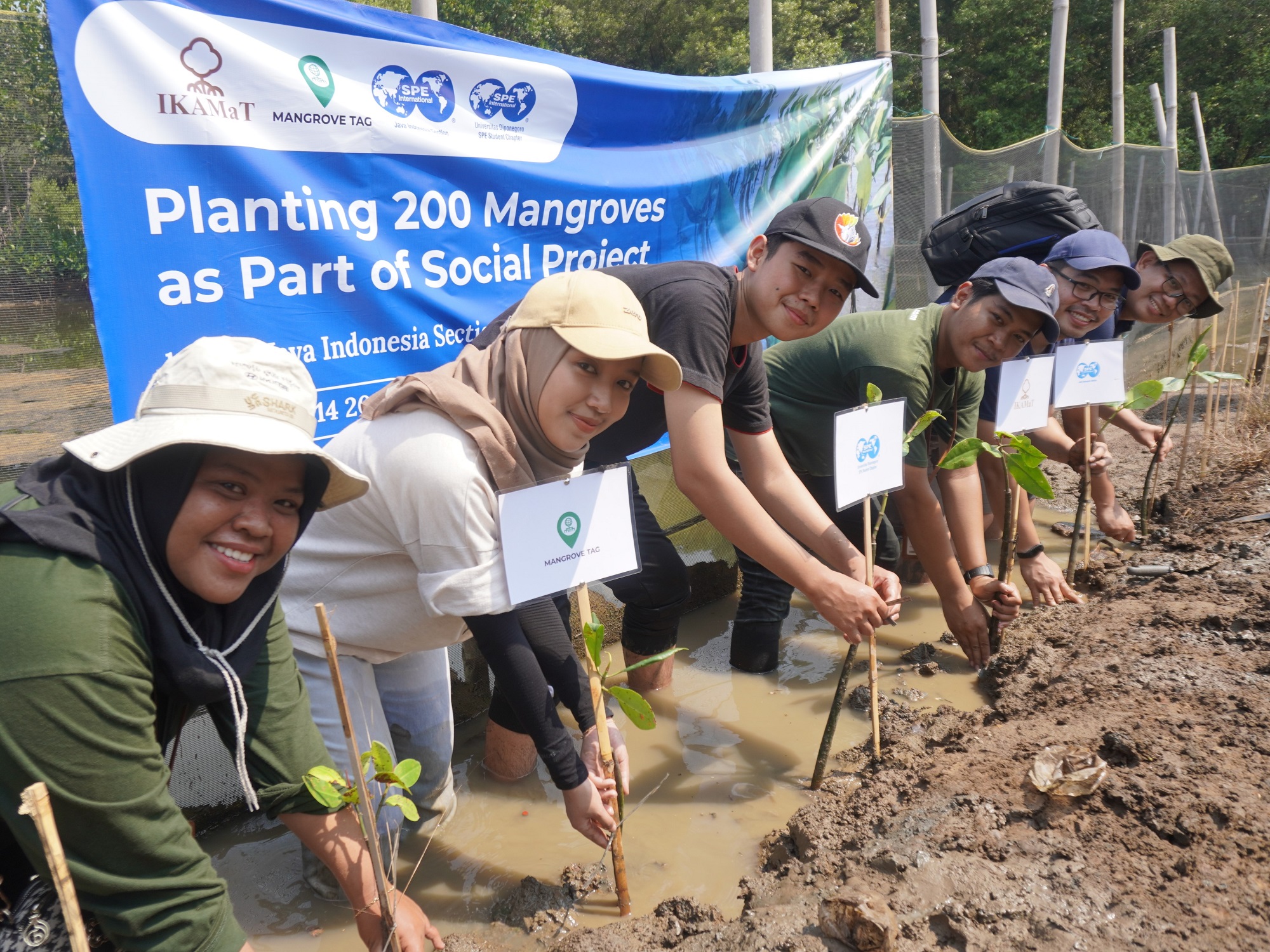 mengapa-mangrove-tag-transparan